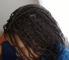DSCF0432.jpg