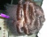 Lisa's Pictures 203.jpg