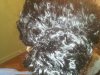 COCONUT OIL BUN.jpg