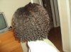 DSC01706.jpg