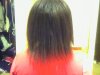 Snapshot_20091229_2.jpg