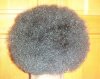 Fro from the back.jpg