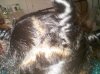 bantu knots 2.jpg