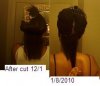 Comparison pic Back of hair.JPG