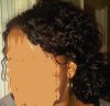 jan 8 2010 side bun.jpg