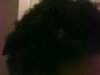 01-10 close up.jpg