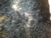 hairtype1.jpg