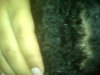 hairtype2.jpg