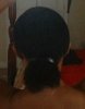 lenght Check pony tail 1.JPG