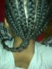 Braids Back View.jpg