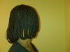 braids122609.jpg