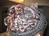 two strand twists 002.jpg