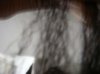 close hair 001.jpg