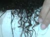 IMG00274-20091215-2214.jpg