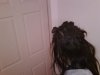 IMG00325-20091217-0006.jpg