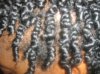 Feb 2010 Twists 075.jpg