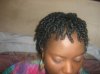 Feb 2010 Twists 068.jpg