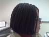 braids020610.jpg