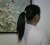 PonytailFeb2010.jpg