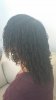 mini twists 12.11.17.jpg