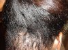 DSC00533(1).jpg