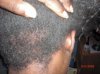 CIMG9317.jpg