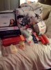 goodies2.jpg