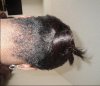 Update - 2weeks.jpg