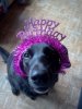 946b4bcb91a7050538dac3fece5fdf2d--birthday-wishes-birthday-cards.jpg