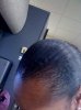 Edges 2010.jpg