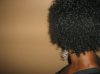 March 2010 - Shescentit Hair Butter 006.jpg