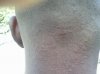 Si head1.jpg