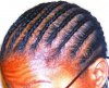 micro braids1.jpg