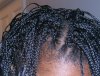 micro braids2.jpg