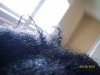 100_0195.jpg
