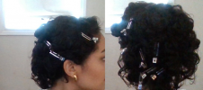 pincurl clips.png