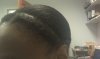 Bun2.jpg