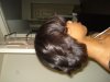 DSC02744.jpg