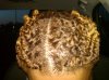 IMG00085-20100419-0603.jpg