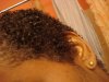 Jan 31 Hair update 011.jpg