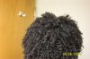 fresh wash 2.jpg