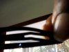 clip close up.jpg clip close up.jpg
