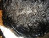 10 weeks 005.jpg