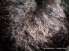 DSC00834-1.jpg