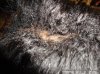 DSC01094.jpg