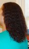 20070421hennatwst-vi.jpg