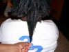 100_0253-vi.jpg