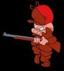 elmer fudd.jpg