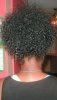 curly pony_LHCF.jpg
