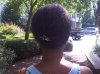 IMG00115-20100720-1703.jpg